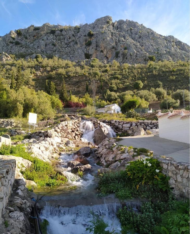 Casa De Los Alamos Periana Εξωτερικό φωτογραφία