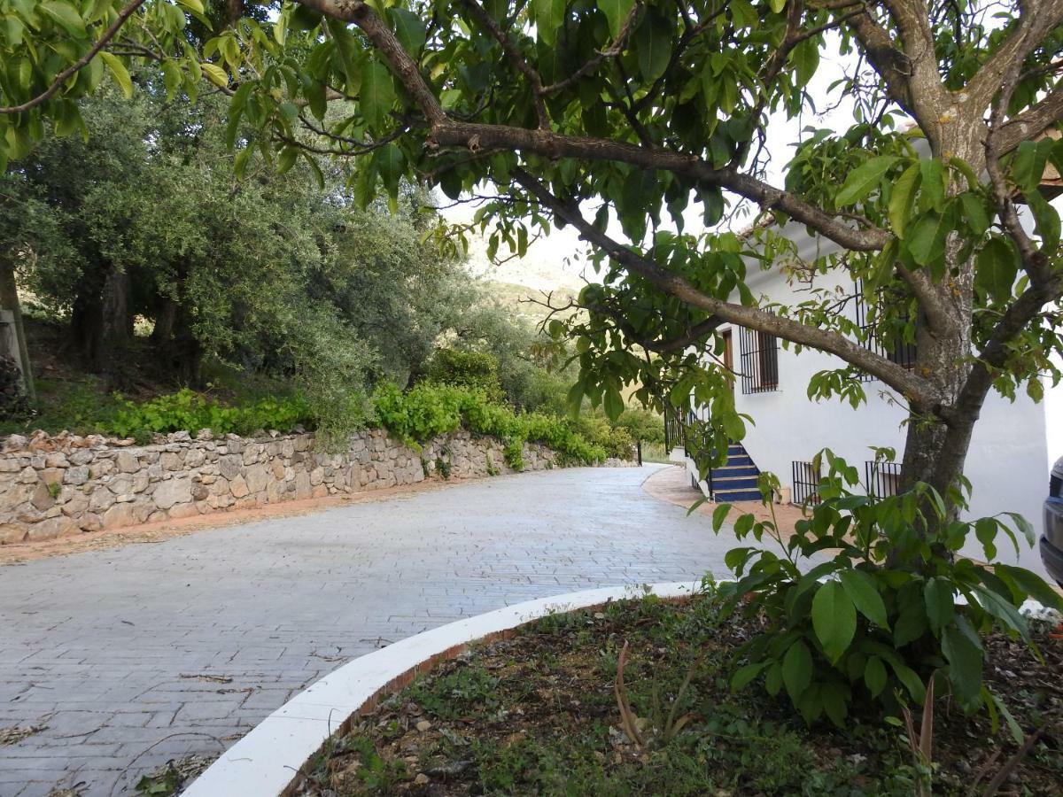 Casa De Los Alamos Periana Εξωτερικό φωτογραφία