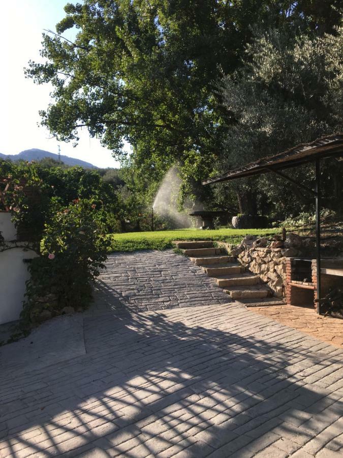 Casa De Los Alamos Periana Εξωτερικό φωτογραφία