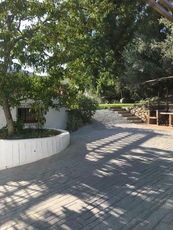 Casa De Los Alamos Periana Εξωτερικό φωτογραφία